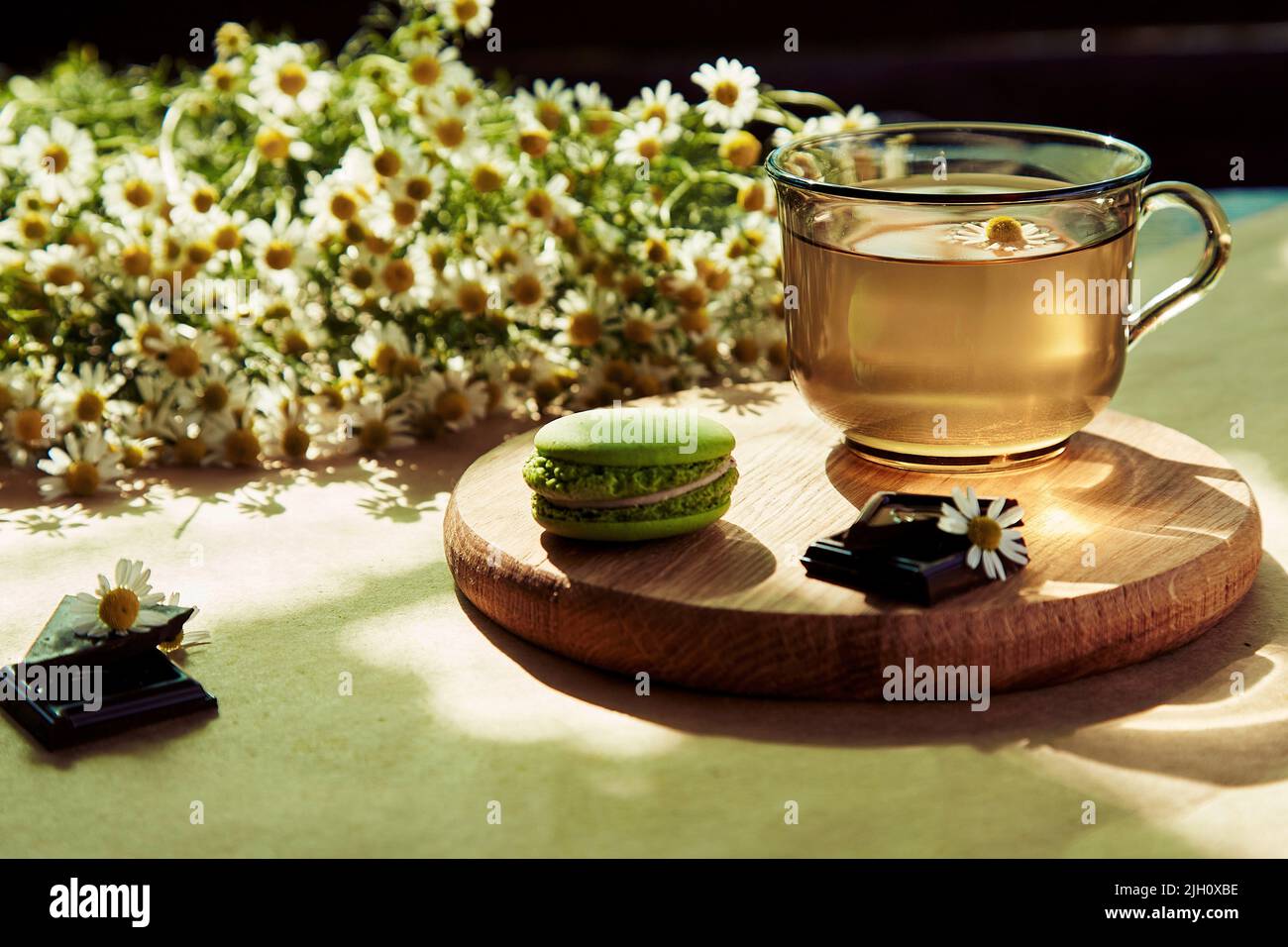 Aesthetic summertime tea time, herbal tea and macarons dessert outside in the terrace under trendy hard shadows. Sweet desserts, natural chamomile herbal tea - natural sustainable eco-friendly Stock Photo