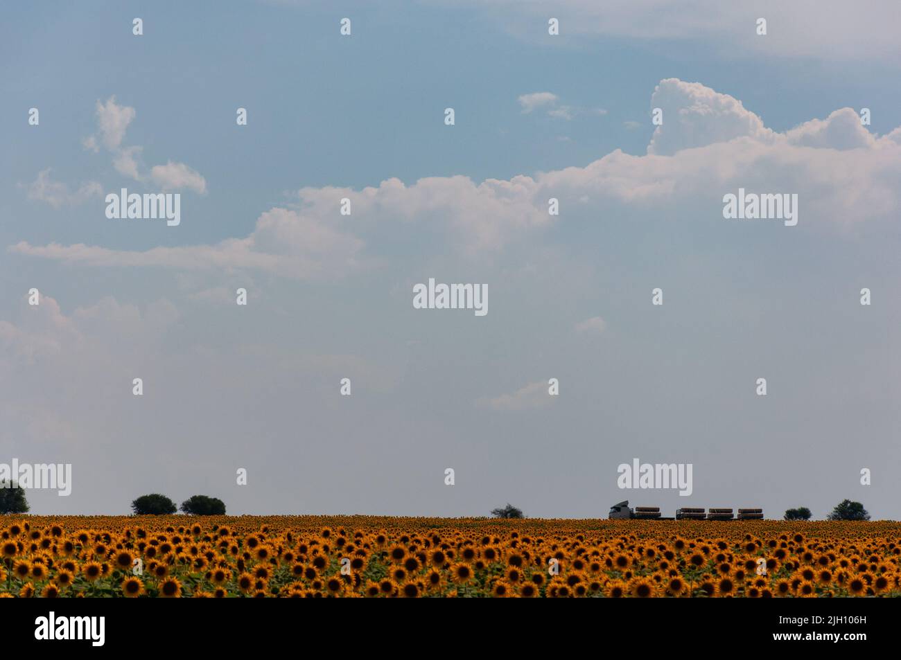 A photograph of a truck south bound on the N1 freeway, Freestate province, South Africa. Stock Photo