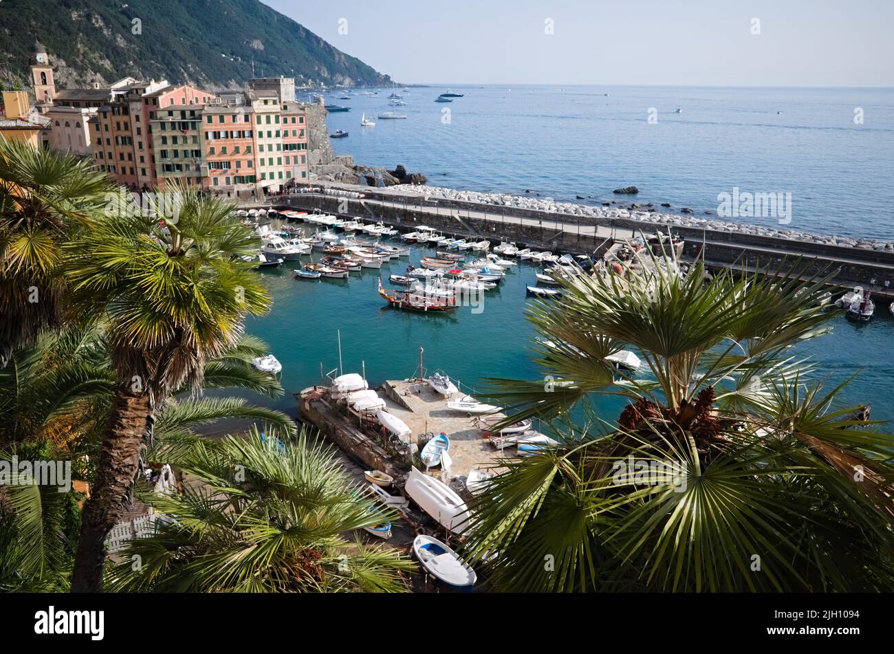 View of marina on mediterranean coast of Camogli, Liguria, Italy. Small port with moored boats and yachts in bay in village on Italian Riviera Stock Photo