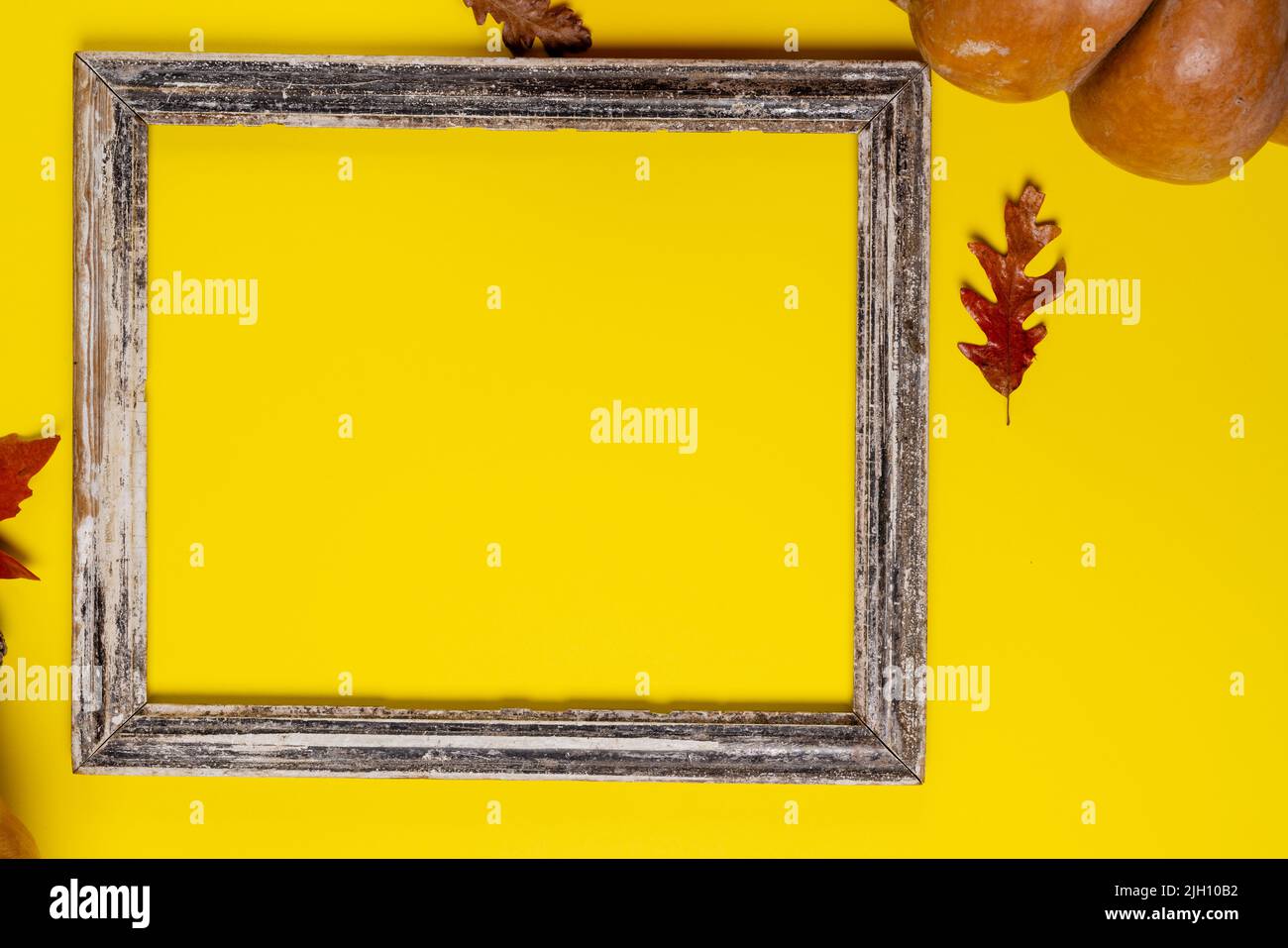 Composition of pumpkins with autumn leaves and frame with copy space on ...