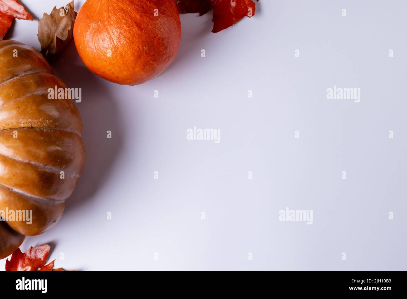 Composition of pumpkins with autumn leaves on white background Stock ...