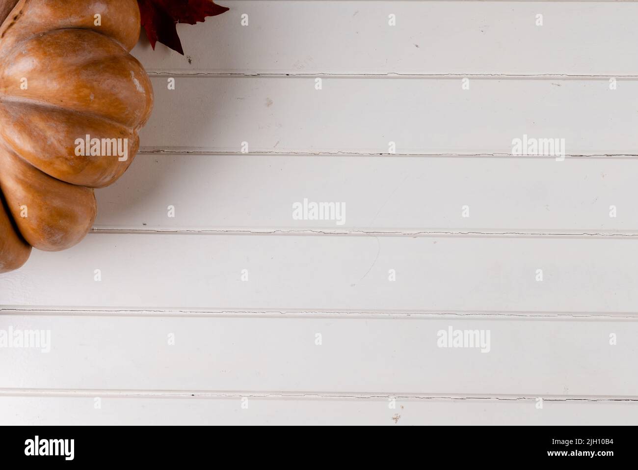 Composition of pumpkin with autumn leaves on white background Stock ...