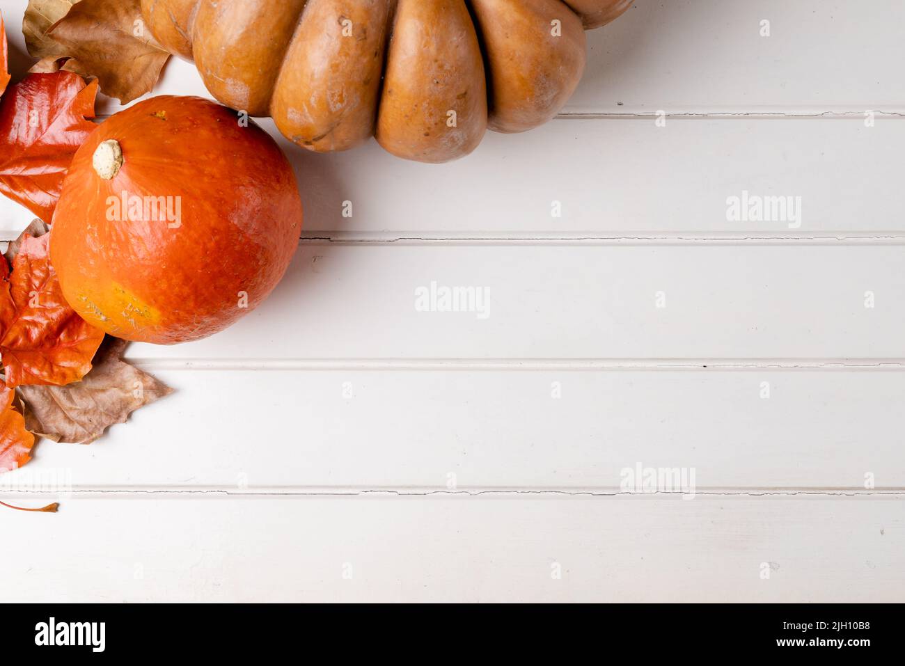 Composition of pumpkins with autumn leaves on white background Stock ...