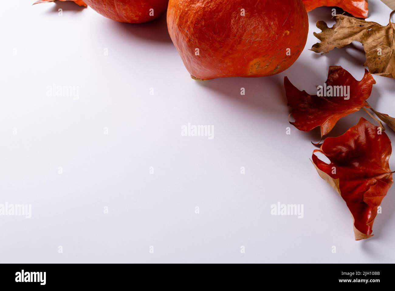Composition of pumpkins with autumn leaves on white background Stock ...