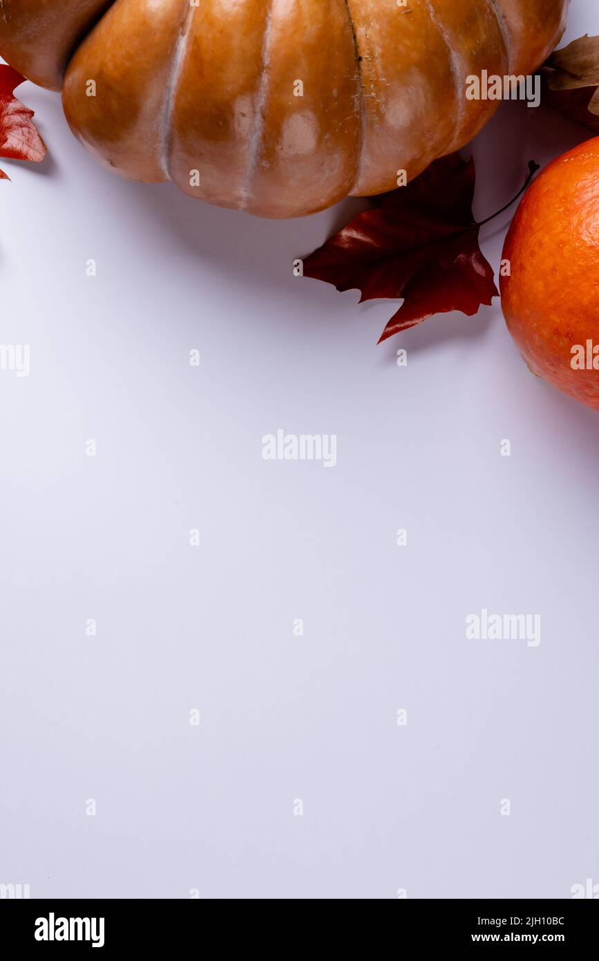 Composition of pumpkins with autumn leaves on white background Stock ...