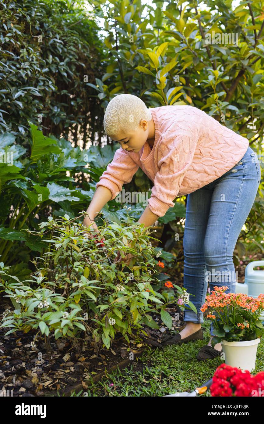 Vertical image of biracial woman planting flowers Stock Photo