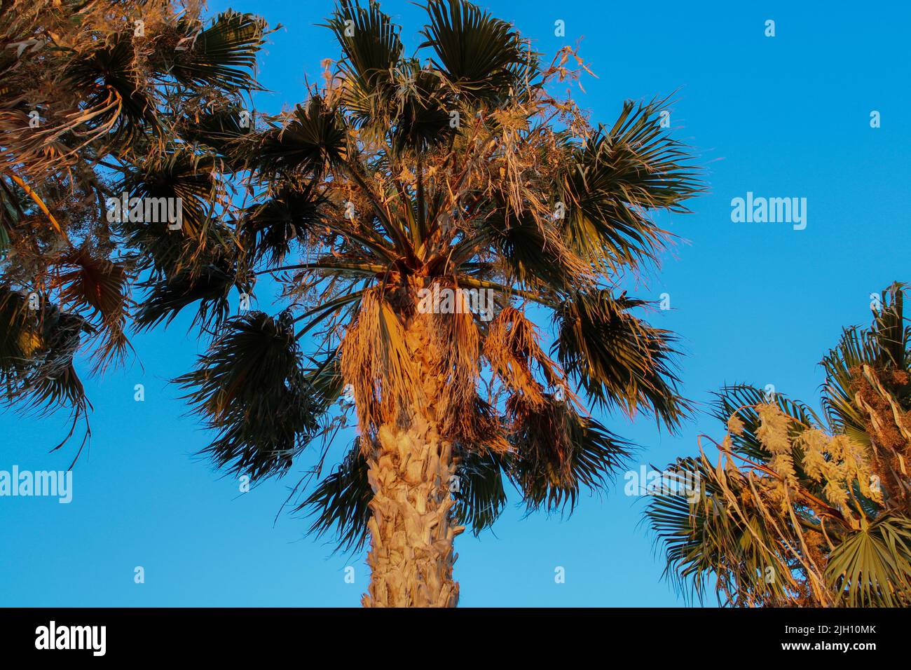 Spain Dade Resource Guide: Navigating Media and Communication in Miami