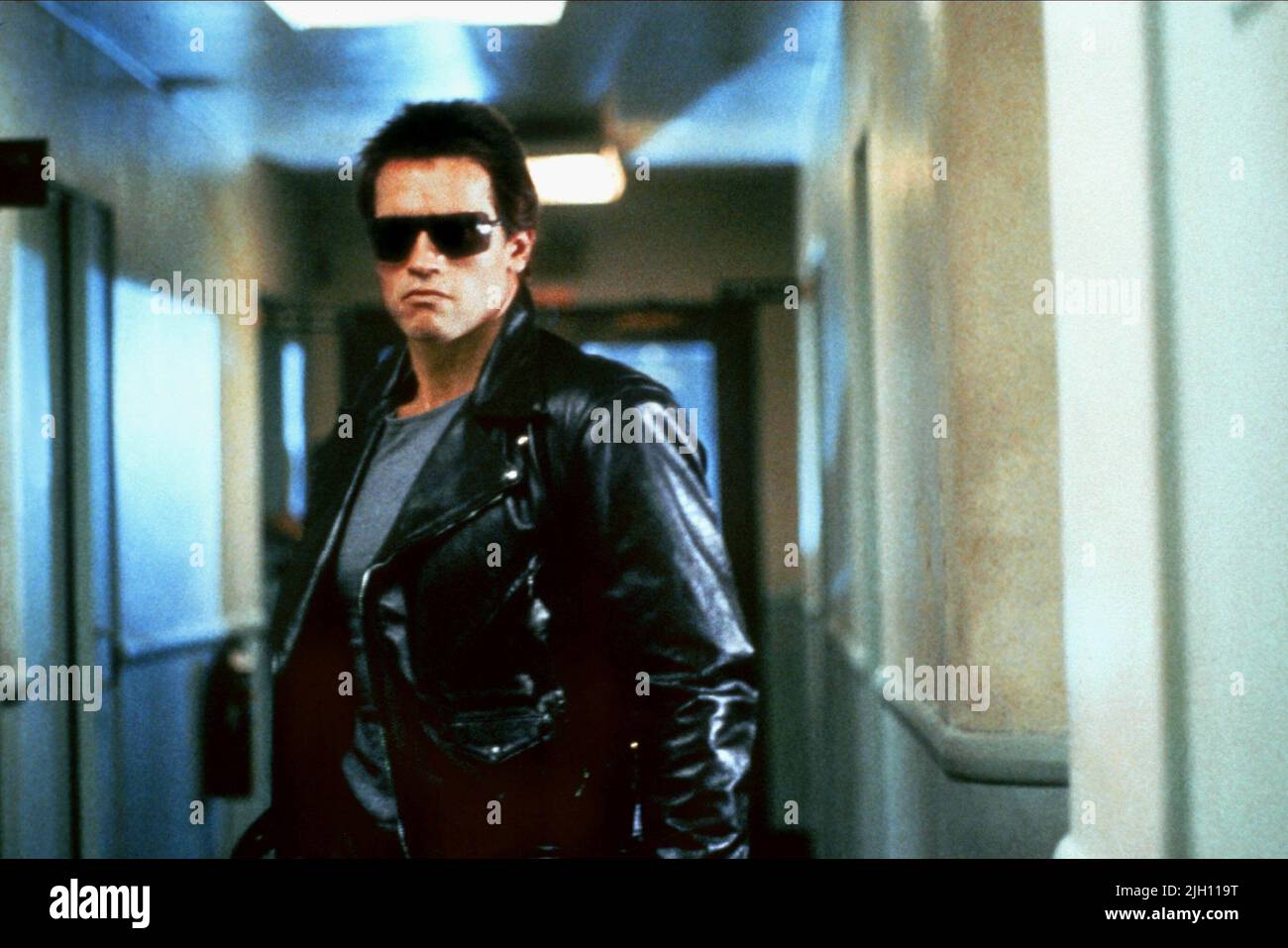 ARNOLD SCHWARZENEGGER, THE TERMINATOR, 1984 Stock Photo - Alamy