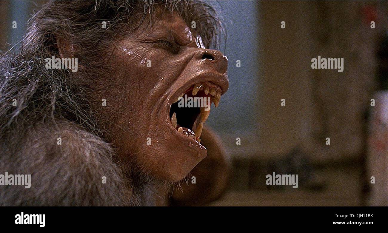 WEREWOLF, AN AMERICAN WEREWOLF IN LONDON, 1981 Stock Photo - Alamy