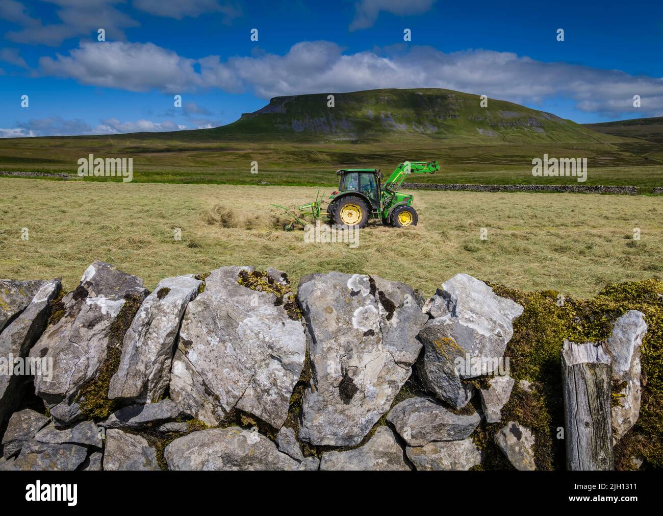 Haymaking in the Yorkshire Dales with Penyghent in the background. Stock Photo