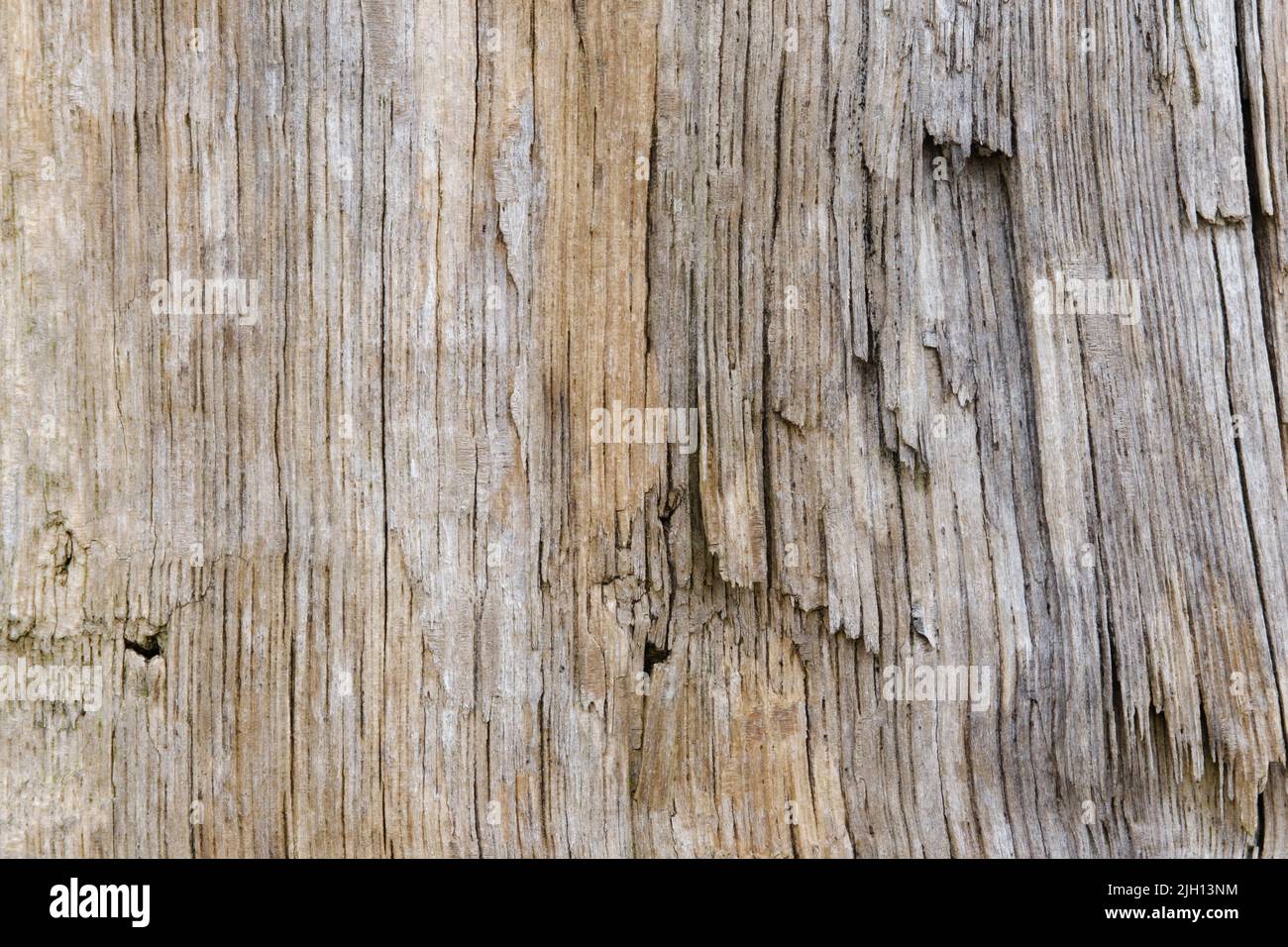 Wooden wall Stock Photo