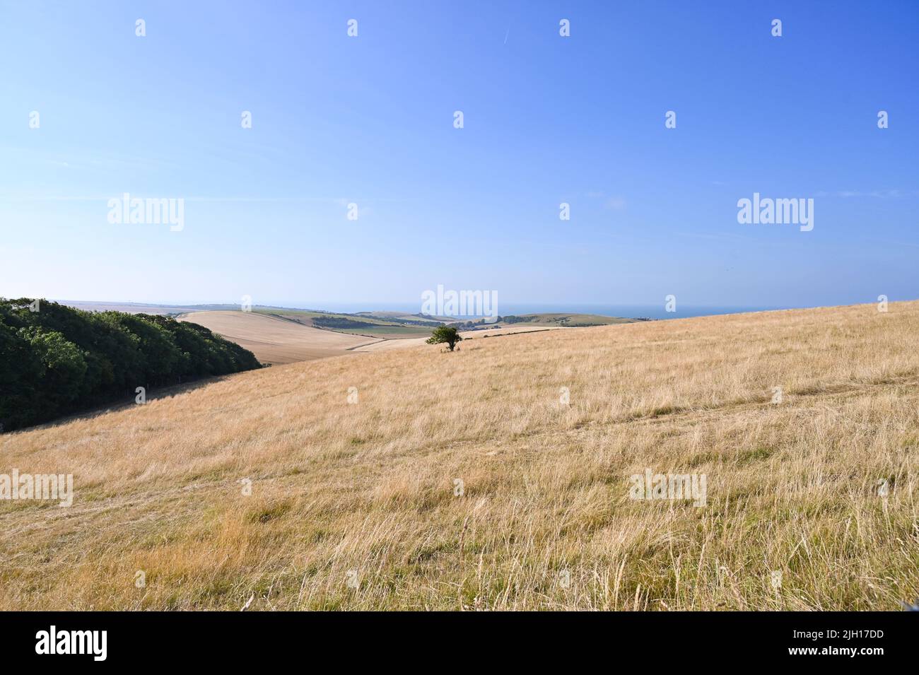 Drought of 2022 hires stock photography and images Alamy