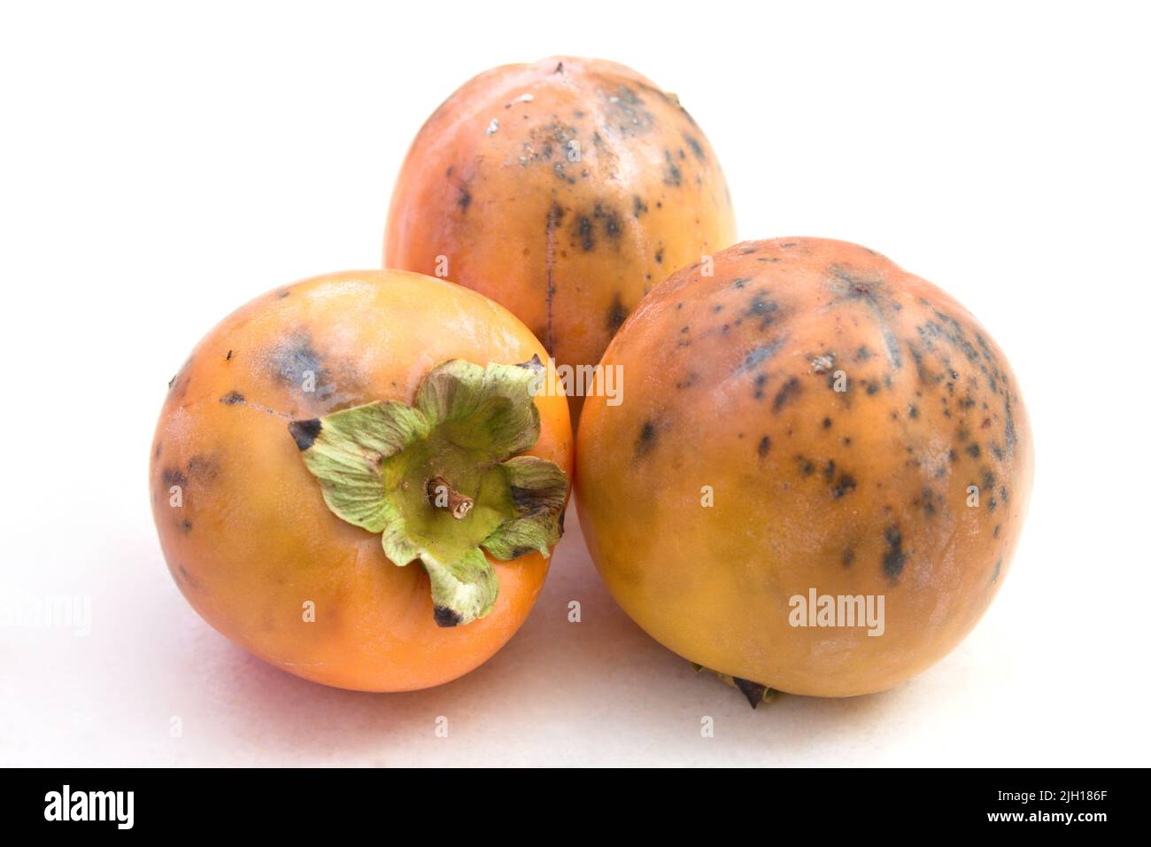 Close-up of three persimmon fruits (bright red) that have suffered a hail storm on neutral background with copy space Stock Photo