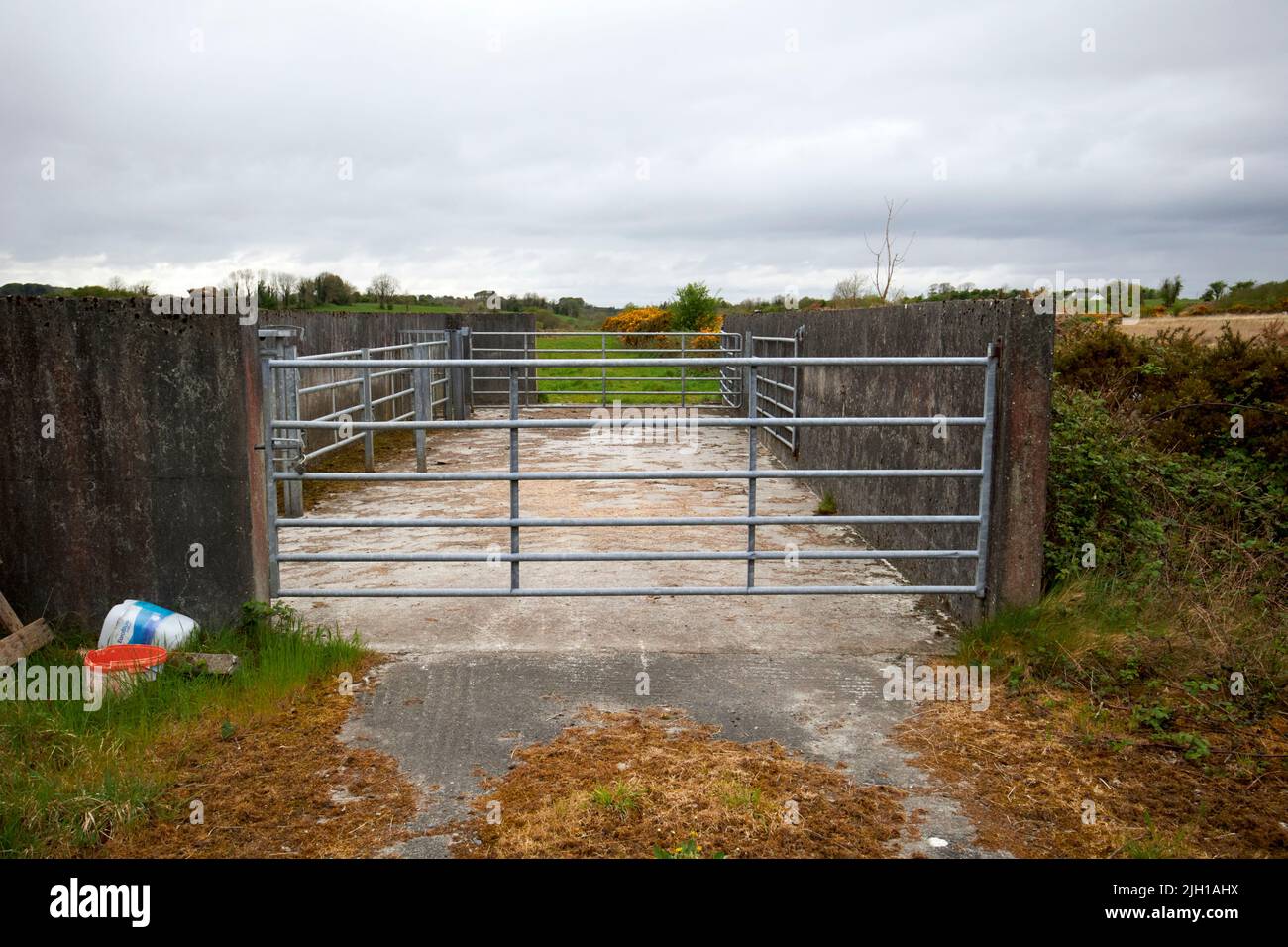concrete sheep pen and handling unit in the west of ireland near Castlebar county mayo republic of ireland Stock Photo