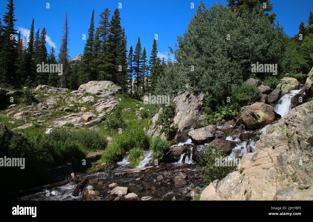 A scenic view of a river flowing through rocks covered with green trees ...