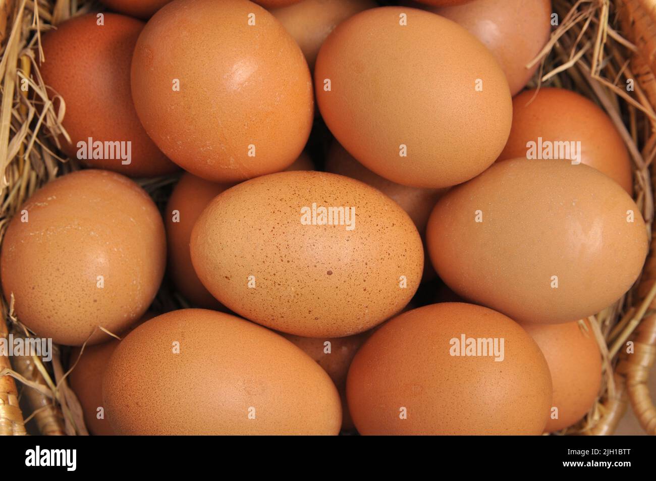 Fresh egg, A bunch of chicken eggs in a basket Stock Photo Alamy