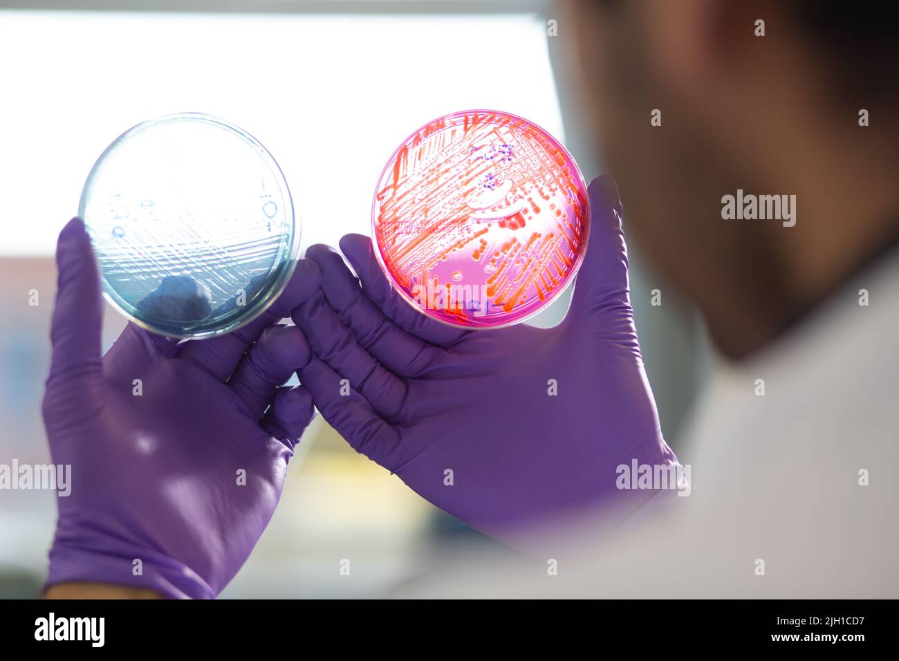 Pictures from inside a lab of staff with marked test tubes and petri