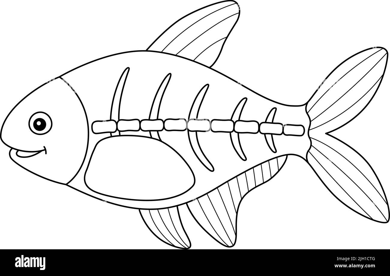 X-ray Fish Animal Coloring Page for Kids Stock Vector