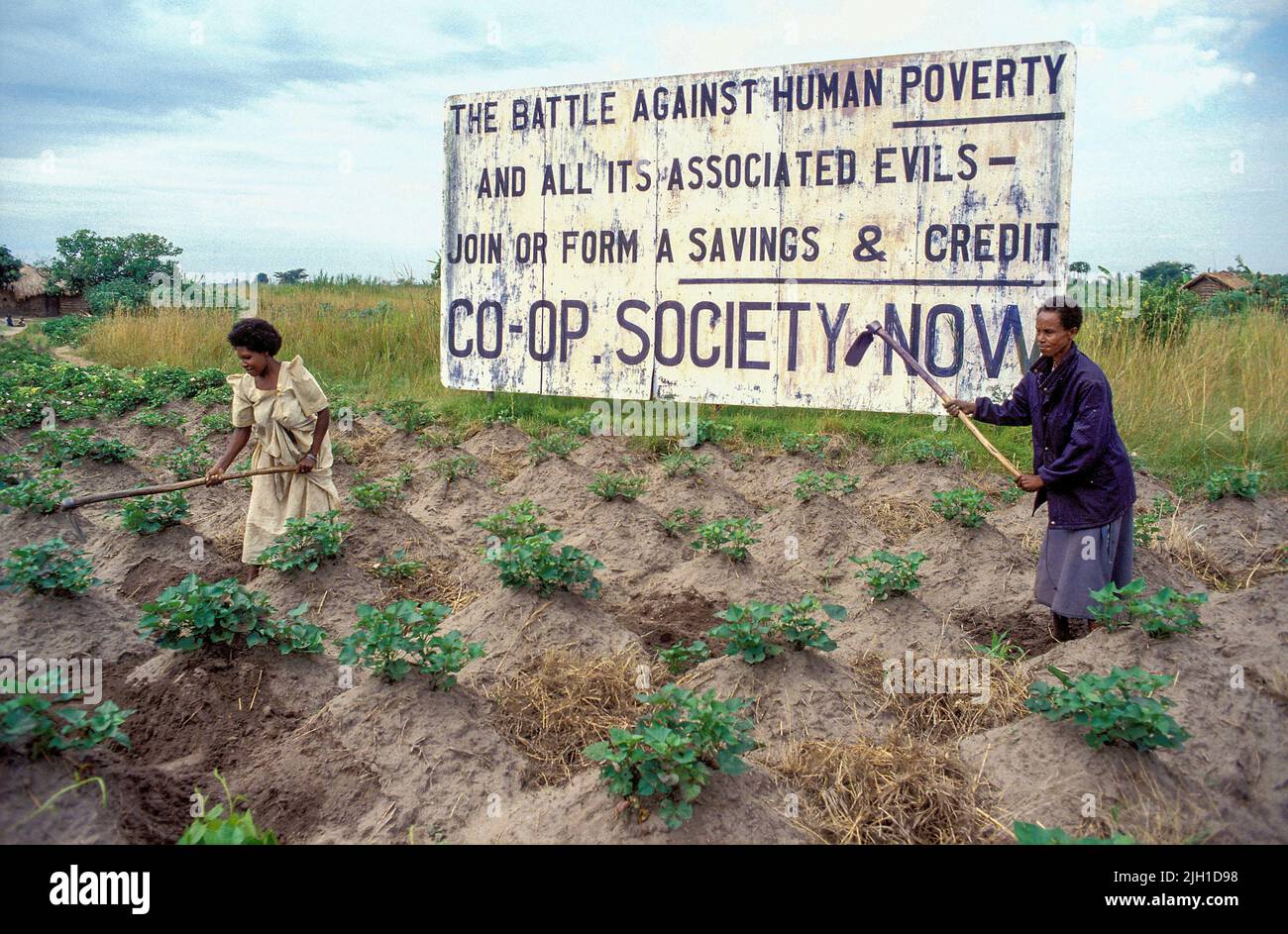 Uganda; billboard calling against human poverty, alongside a cropping field. Stock Photo