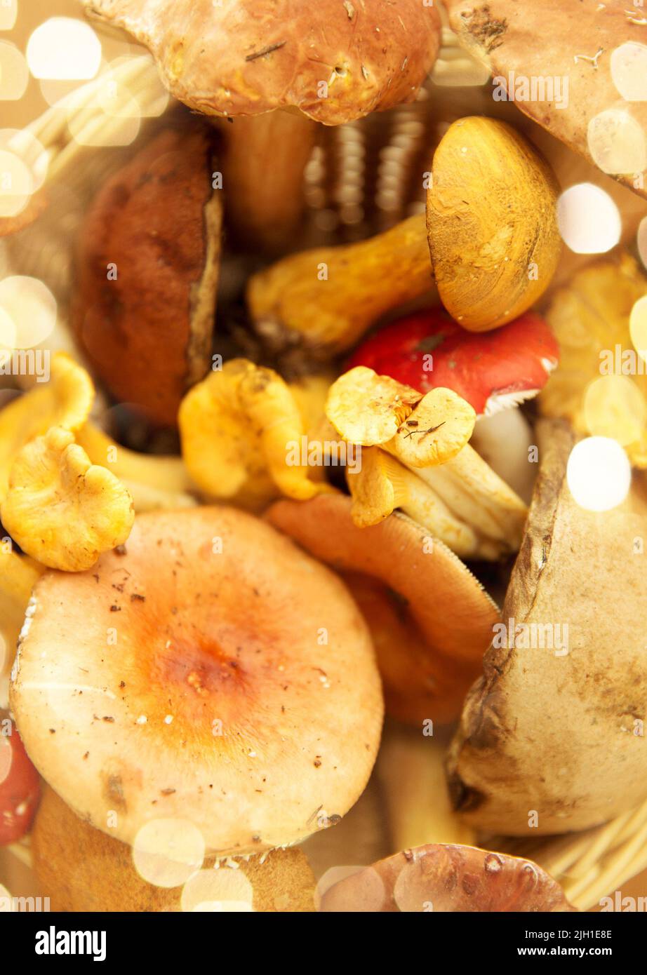 Brush for cleaning mushrooms hi-res stock photography and images - Alamy