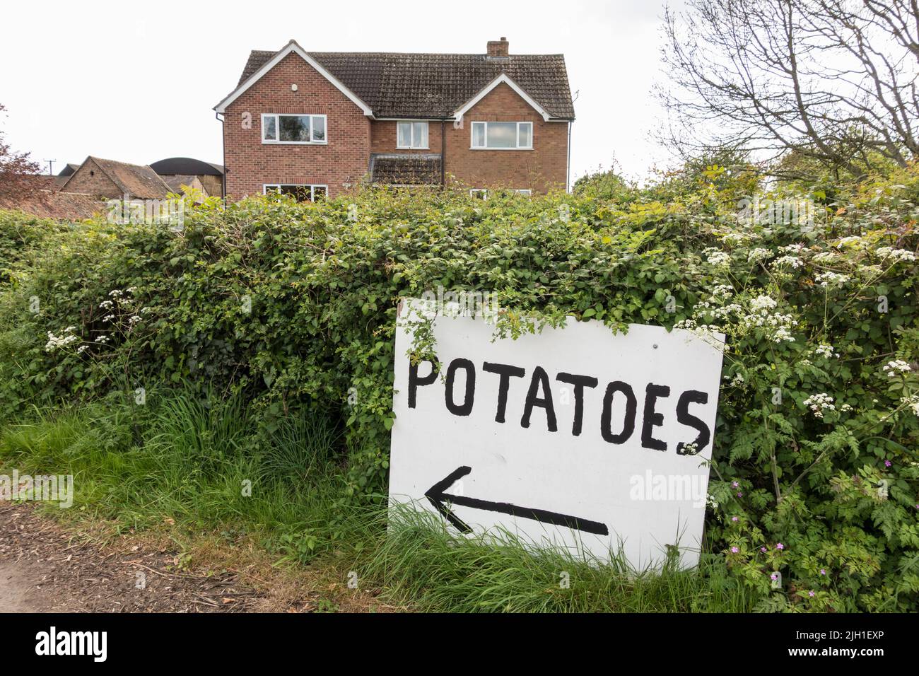 Potatoes for sale board, Frampton on Severn, Gloucestershire, UK Stock