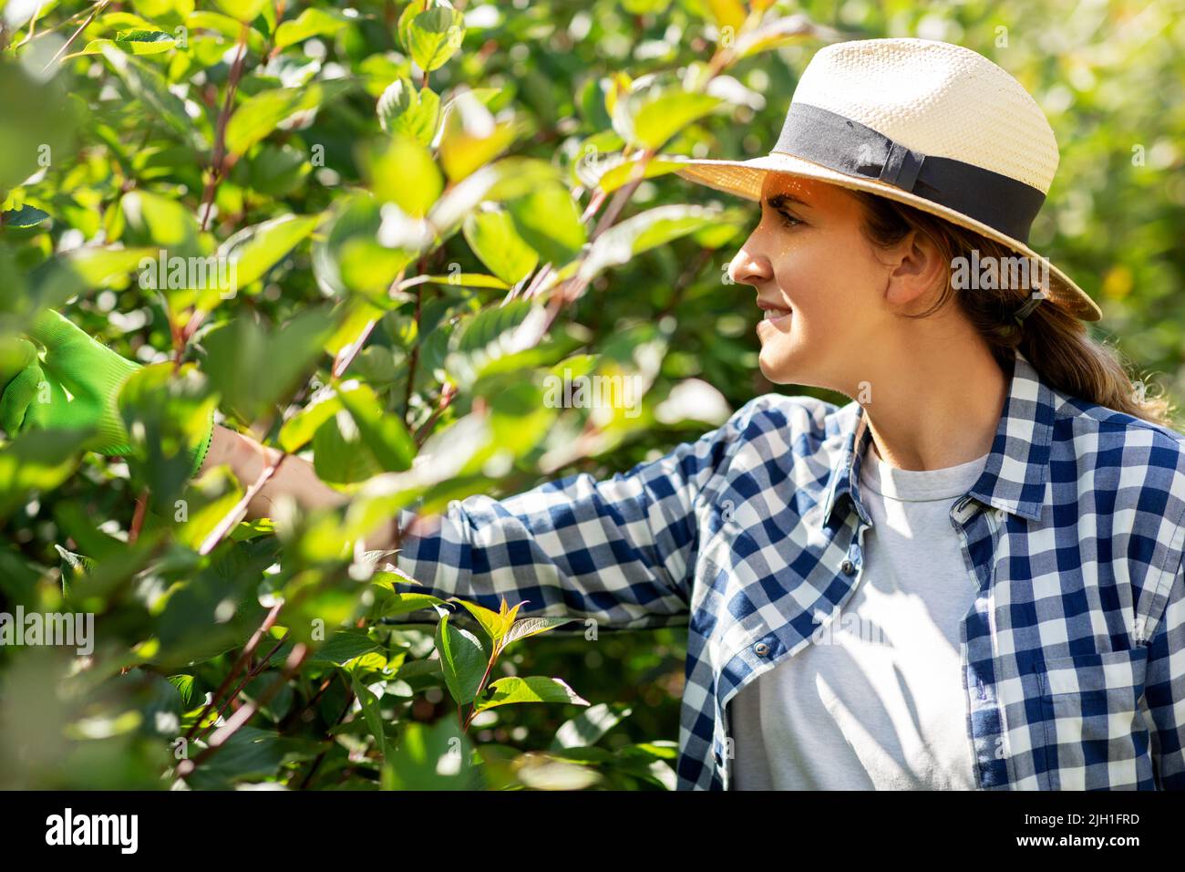 woman in hat working at summer garden Stock Photo