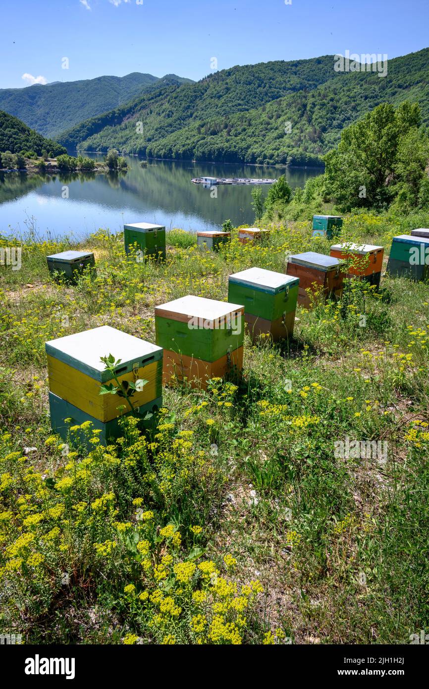 Beehives on the Banks of the artificial lake Thisavrou,  on the Nestos River near the Pappades bridge between Livadero and Sidironero in the Northern Stock Photo