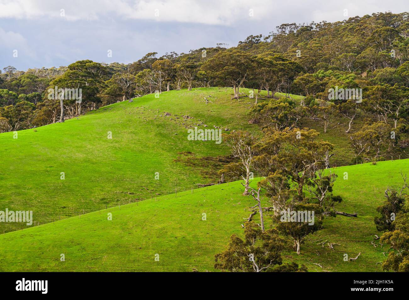 Adelaide Hills landscape in winter season, South Australia Stock Photo