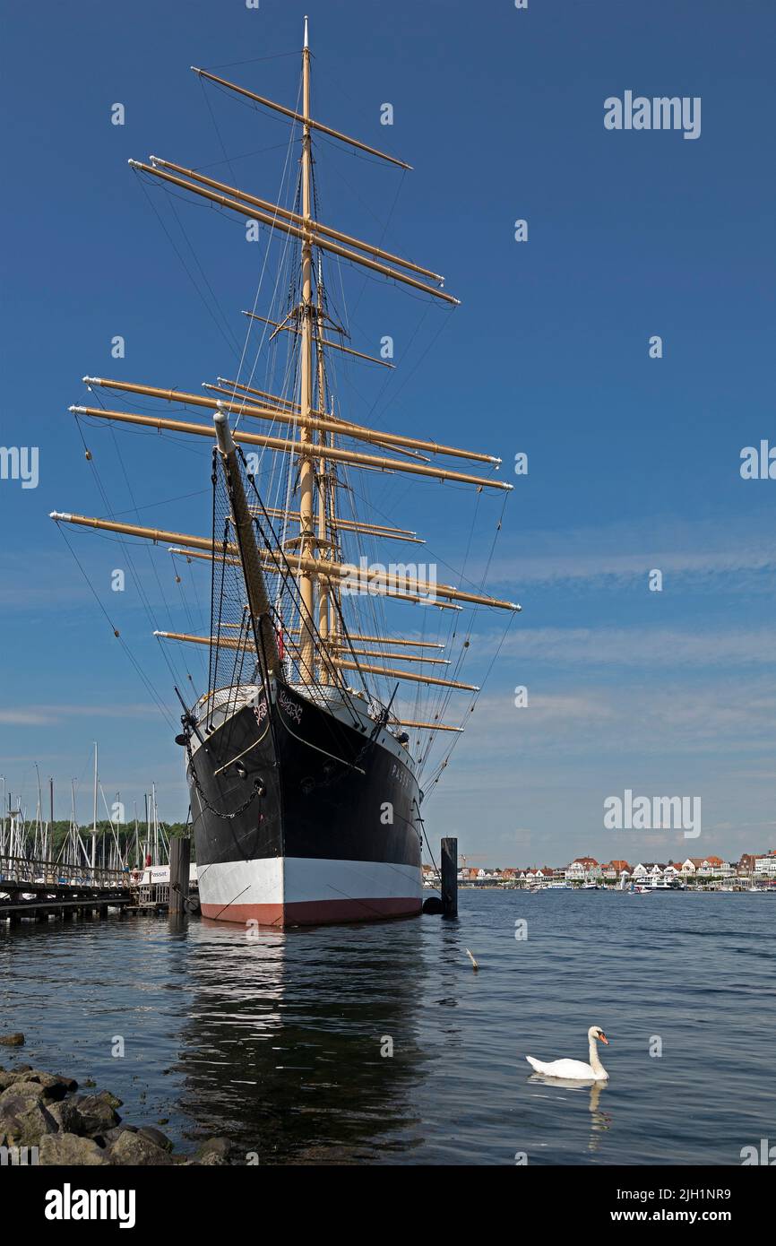 Museum sailing ship Passat, swan, Priwall, Travemünde, Lübeck, Schleswig-Holstein, Germany Stock Photo