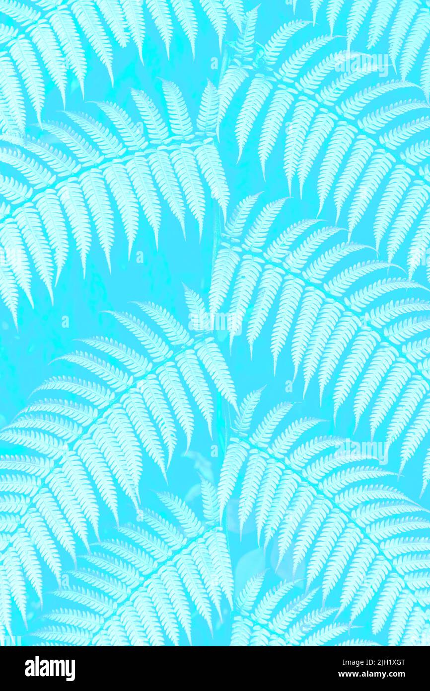 Fern wallpaper leaves hi-res stock photography and images - Alamy