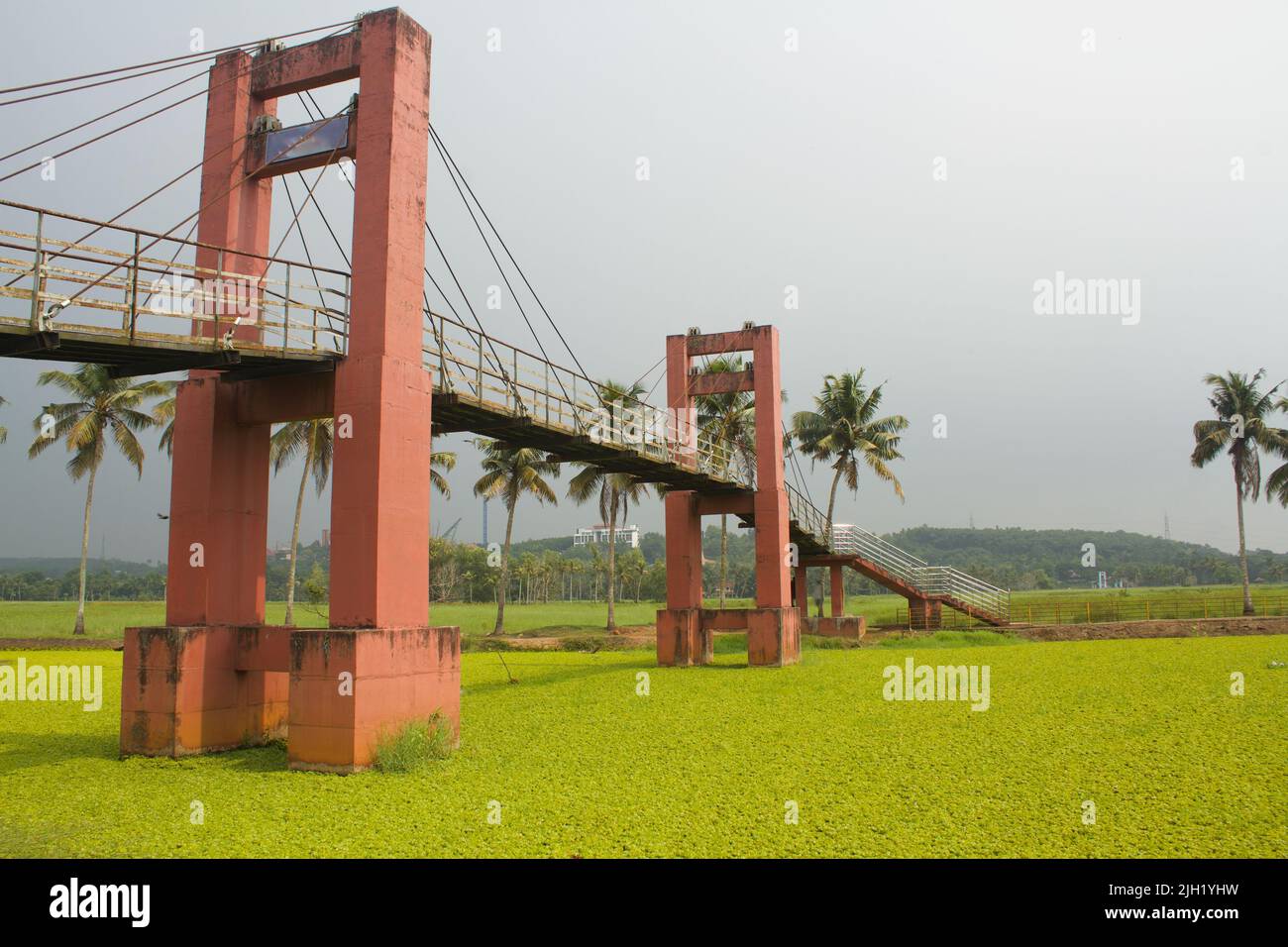 An old suspension bridge over the river filled with salvinia auriculata Stock Photo