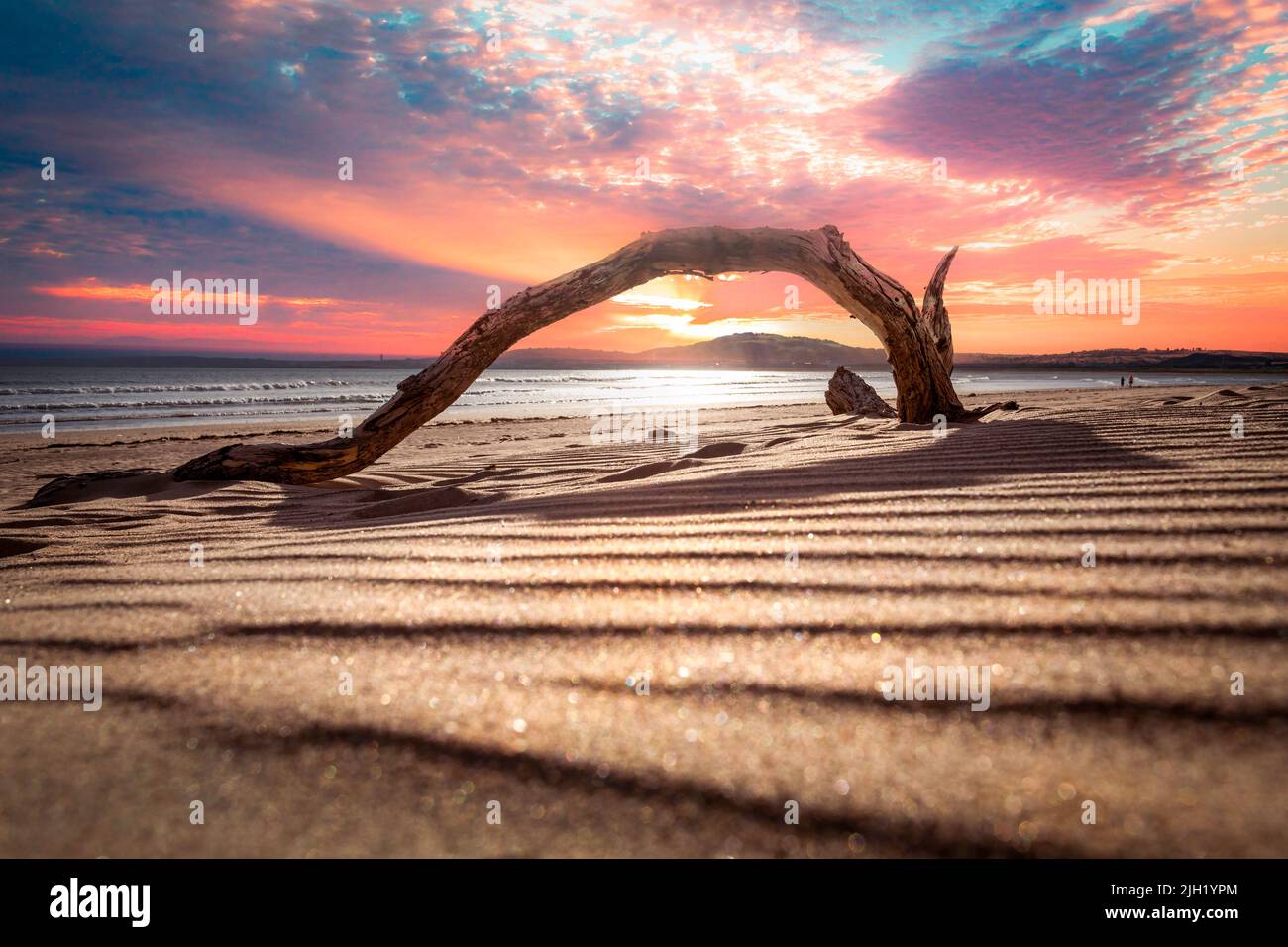 Driftwood at sunset on Aberavon Beach in Port Talbot, South Wales UK Stock Photo