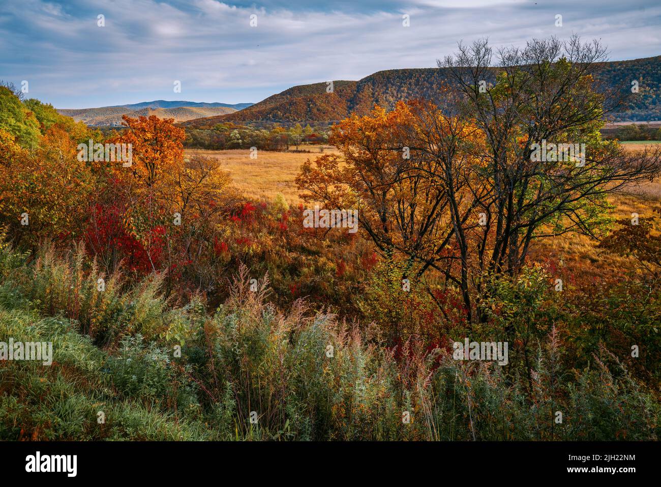 The mountain autumn landscape with colorful forest Stock Photo - Alamy