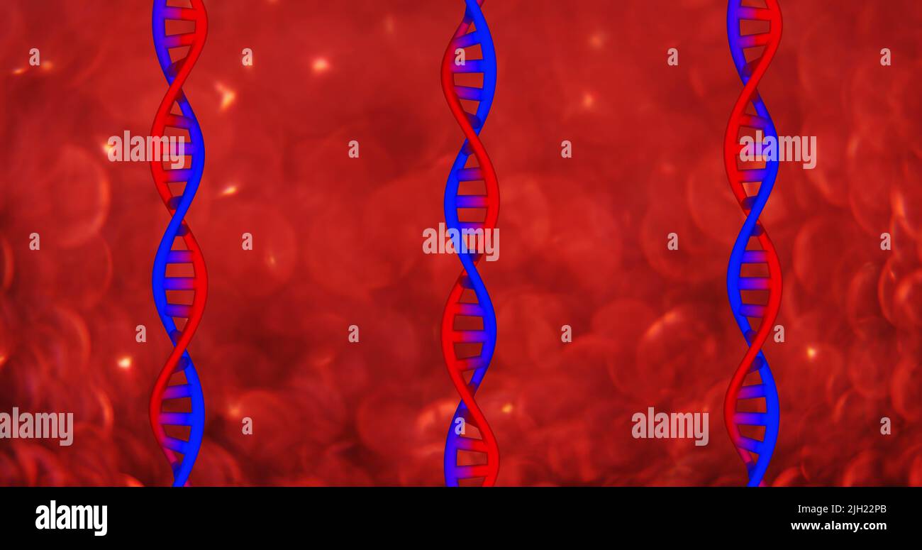 Image of dna strands on red background Stock Photo Alamy