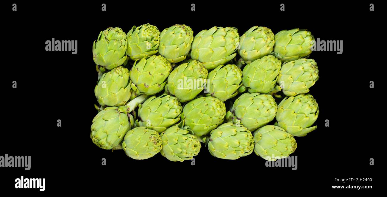 Arrangement of freshly picked artichokes on dark background Stock Photo