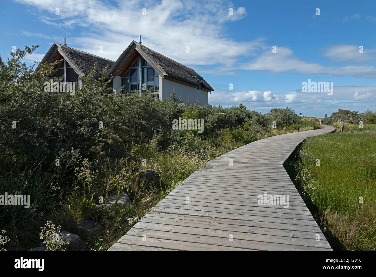 Thatched houses, pedestrian bridge through biotope, Steinwarder Peninsula, Heiligenhafen, Schleswig-Holstein, Germany Stock Photo
