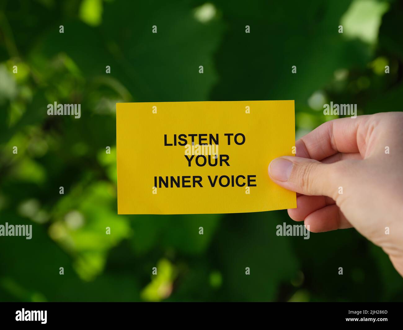 A woman holding a yellow paper note with the words Listen To Your Inner Voice  on it against a background of foliage. Close up. Stock Photo