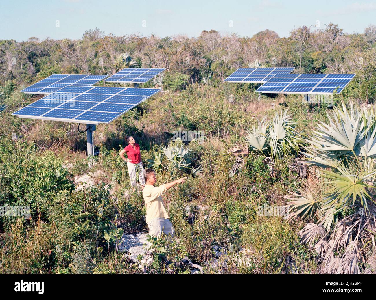A resort in the Bahamas solar panel field. South Andros, Bahamas Stock Photo