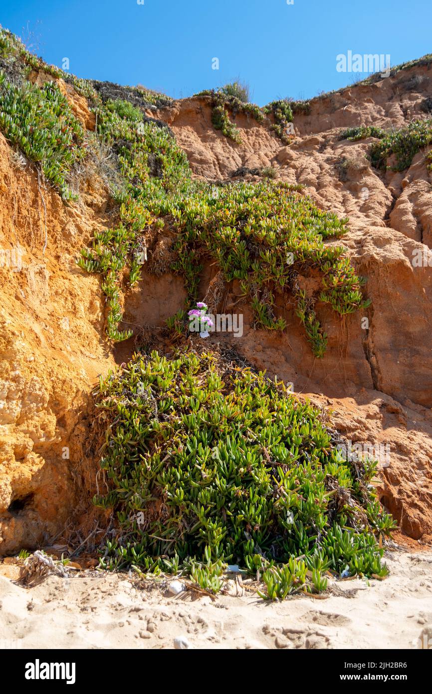 Rockslide that killed five people in August 2009 at Maria Luisa Beach in Algarve. Awarness on beach cliffs, rock slide danger. Stock Photo