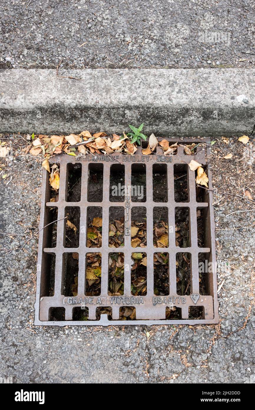 Road drain cover, metal grill, Wales, UK Stock Photo