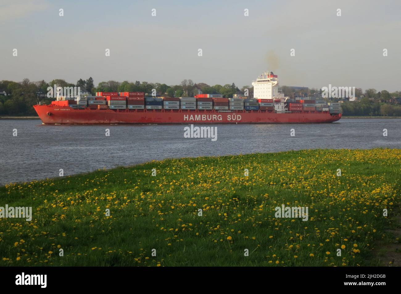 Containerschiff 'Cap Harvey' vor grüner Wiese Stock Photo