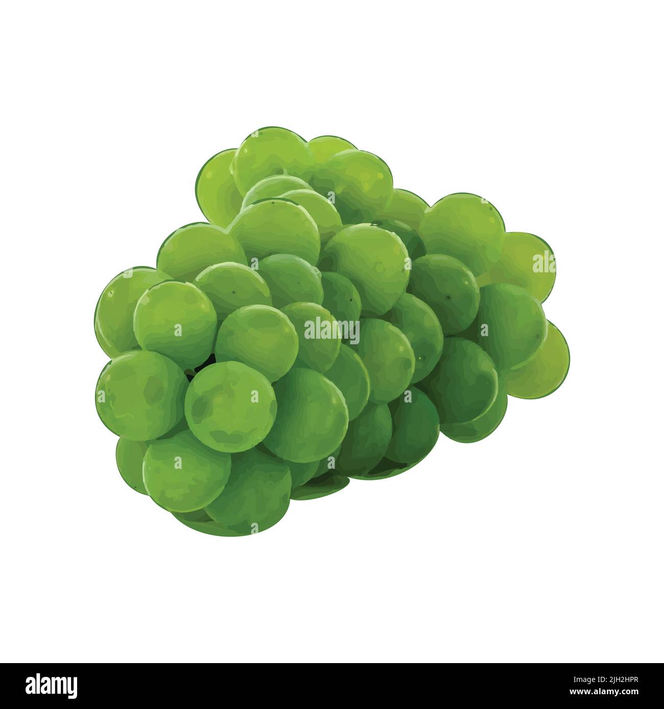 Wet meals Stock Vector Images Alamy