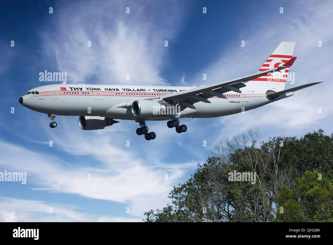 Fiumicino Airport, Italy. 14th July, 2022. Airbus A330 Turkish Airlines old livery Turk Hava Yollari .Aircraft to Fiumicino airport. Fiumicino (Italy), 14th July, 2022. Credit: massimo insabato/Alamy Live News Stock Photo