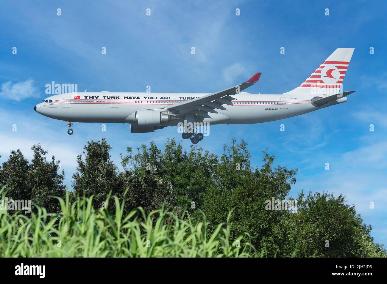 Fiumicino Airport, Italy. 14th July, 2022. Airbus A330 Turkish Airlines old livery Turk Hava Yollari .Aircraft to Fiumicino airport. Fiumicino (Italy), 14th July, 2022. Credit: massimo insabato/Alamy Live News Stock Photo