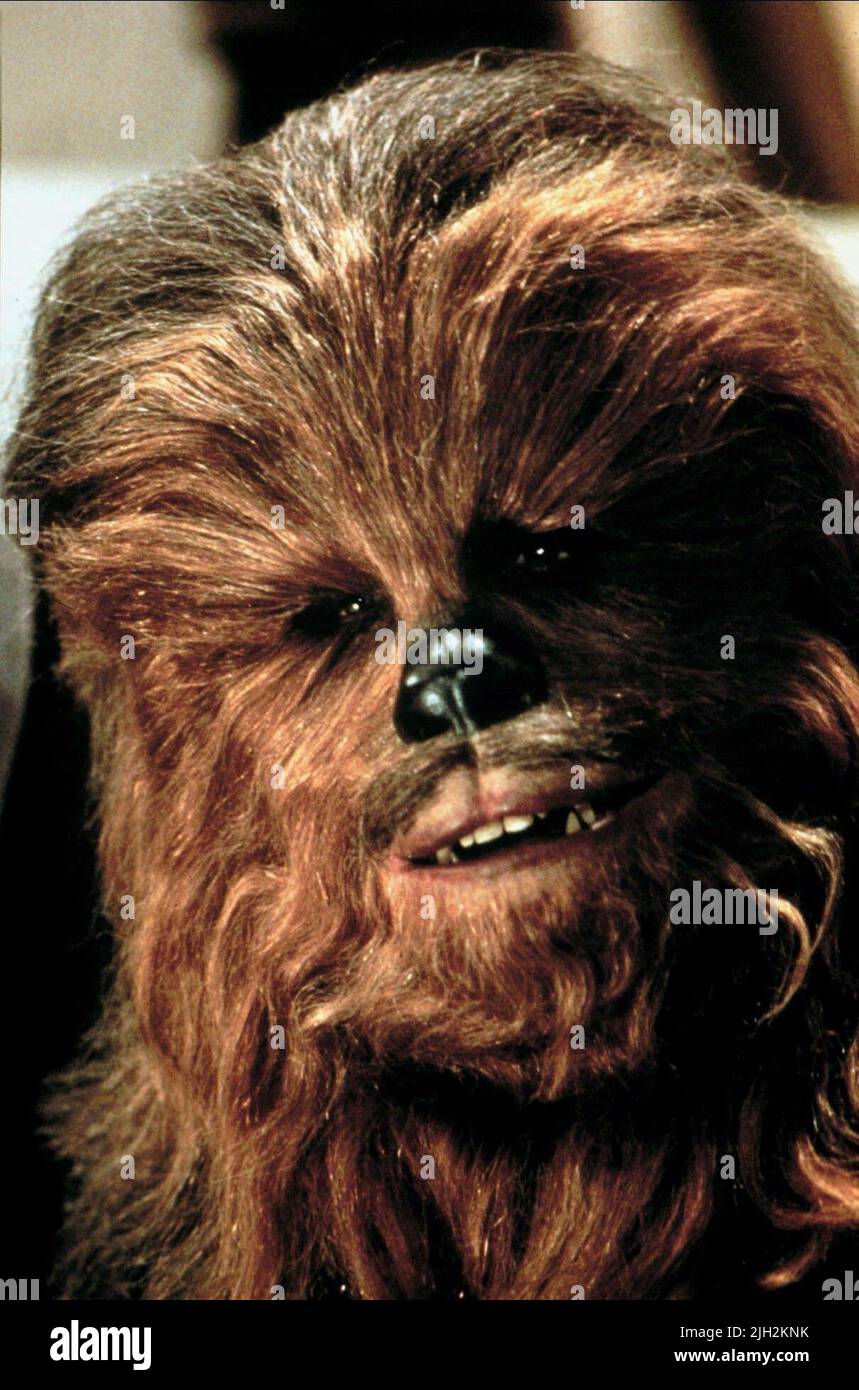 CHEWBACCA,PETER MAYHEW, STAR WARS: EPISODE VI - RETURN OF THE JEDI, 1983 Stock Photo