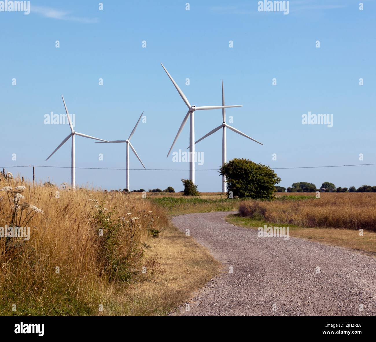 Little Cheyne Court Wind Farm, Romney Marsh, Kent Stock Photo