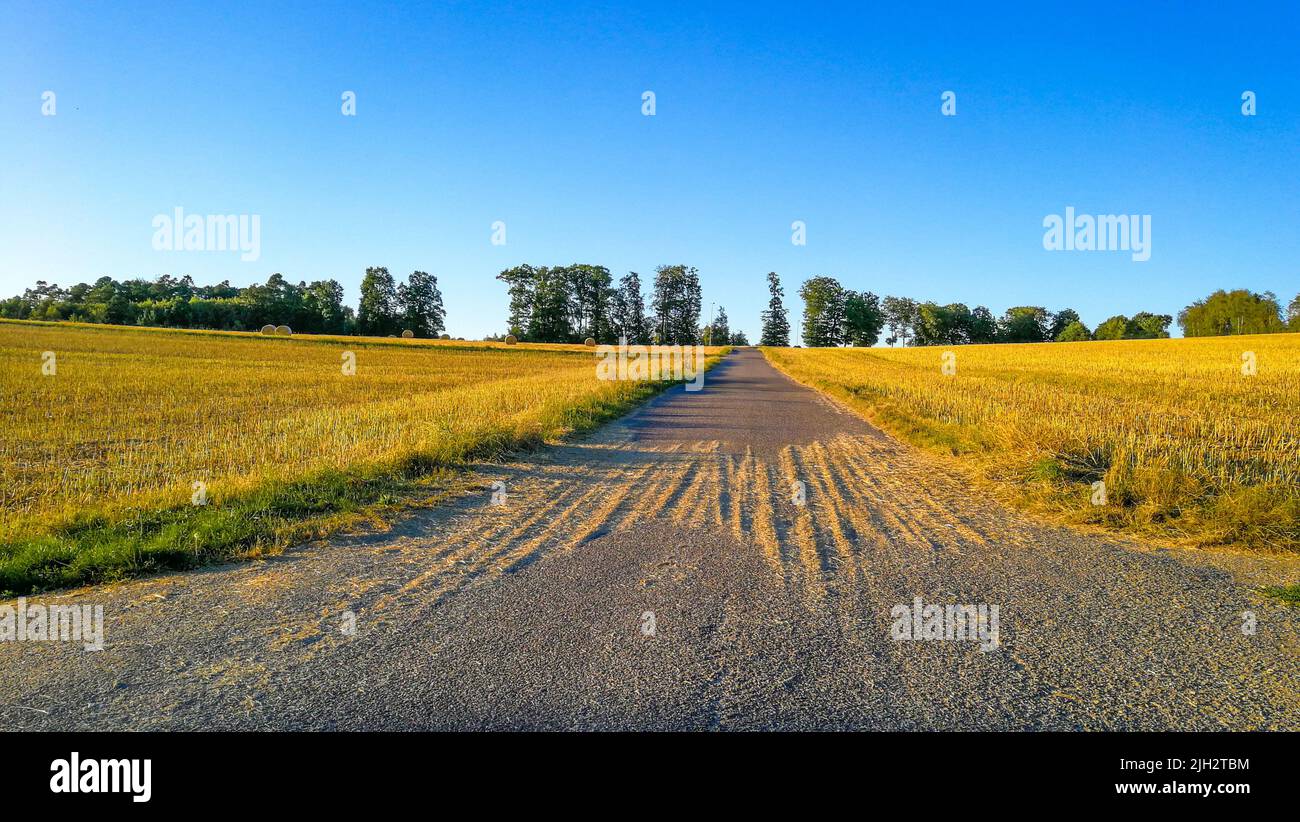 Field path with view to a small forest on a summer evening in central perspective. Freshly harvested fields on both sides of the path Stock Photo
