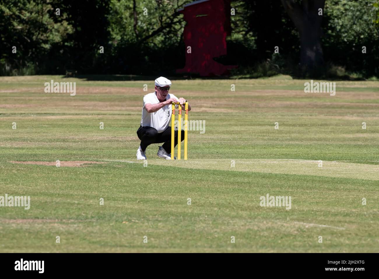 Cricket umpire placing the bails on the stumps and checking the wicket prior to the game commencing during summer in Yorkshire, U.K. Stock Photo