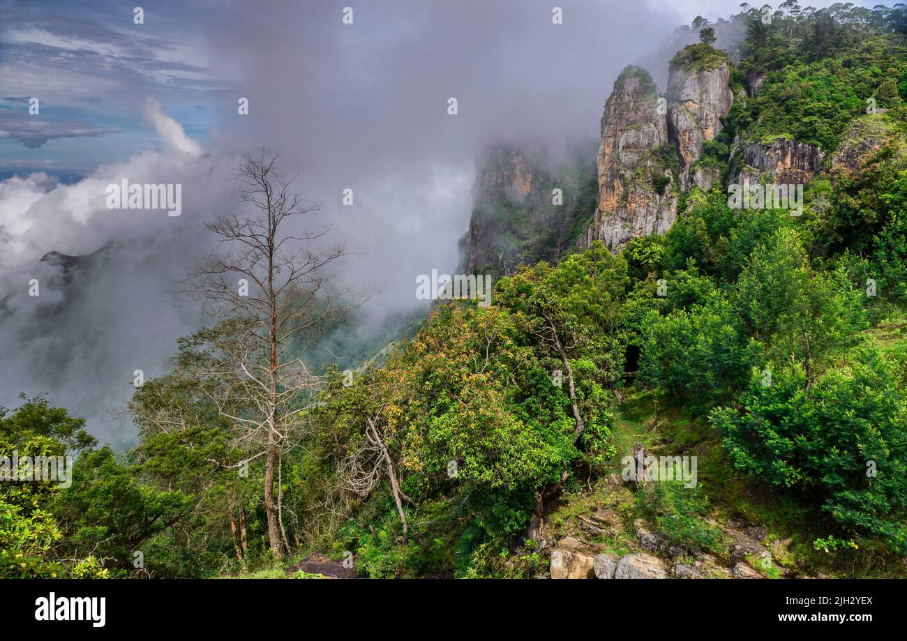 Kodaikanal pillar hi-res stock photography and images - Alamy