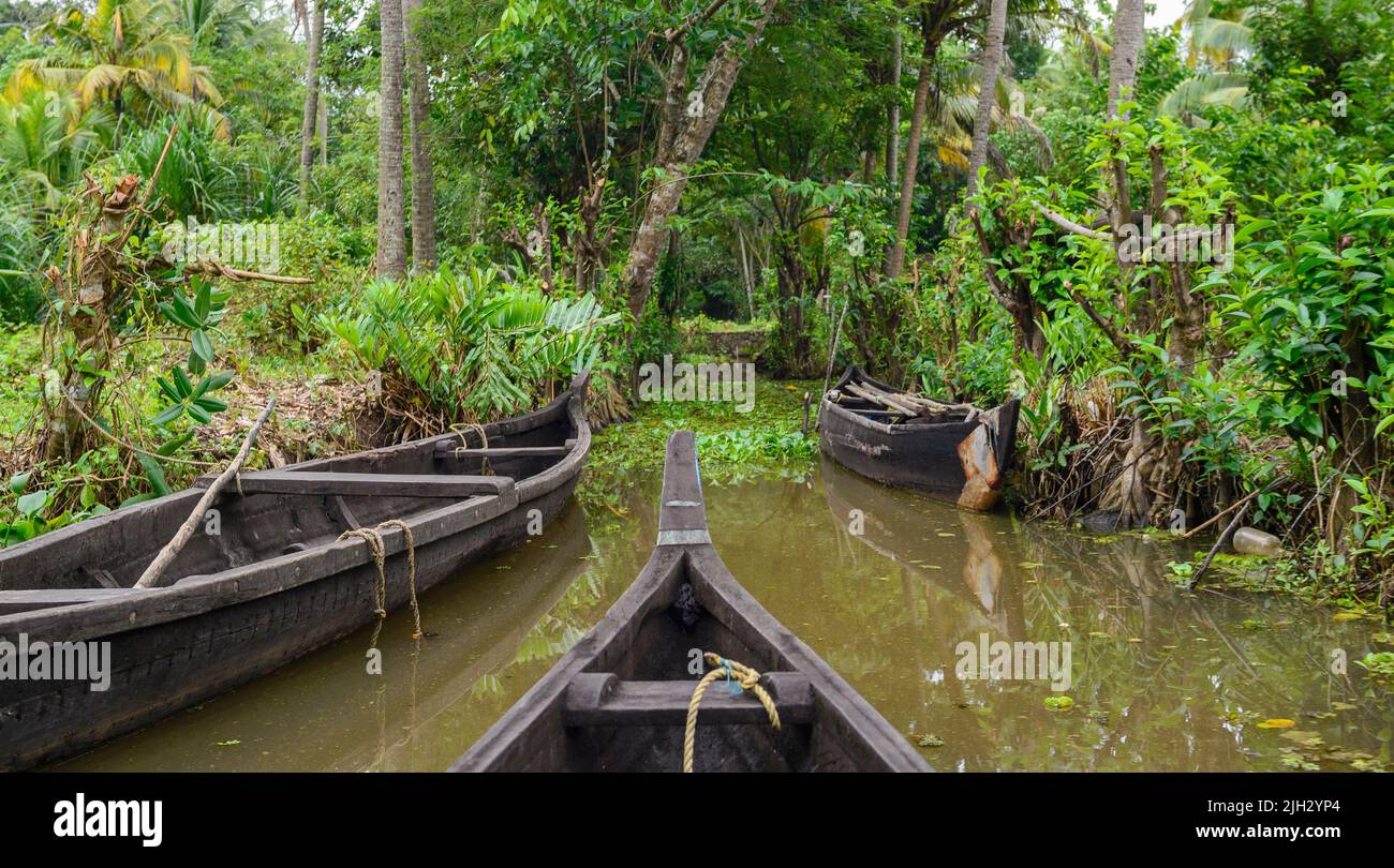 Scenic Kerala boat sailing in Kumarakom, Kerala, India Stock Photo Alamy